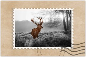 Poszterek 120x80 Méltóságteljes szarvas szarvakkal