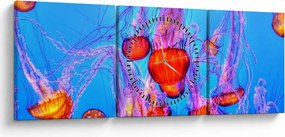 Medúza a tengerben képe (órával) (90x30 cm)