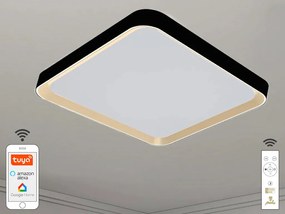 LED mennyezeti lámpa OPÁL + távvezérlő + Wifi 48W - LC902MB/S