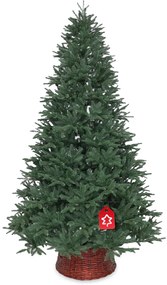 Szibériai jegenyefenyő 100 % 210 cm