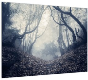 Kép - Erdő a ködben (üvegen) (70x50 cm)