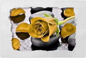 Poszterek 120x80 Sárga rózsa köveken