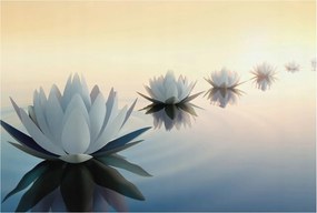 Fotótapéta Flizelin tapéta Hálószoba és Nappali Csendes kilátás 104x70