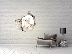 3d-s lyukat fali matrica Matrica kis macska nd-p-162169974