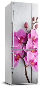 Hűtő matrica Orchidea FridgeStick-70x190-f-118409675