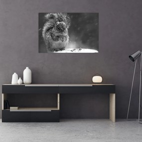 Kép - Mókus télen (90x60 cm)