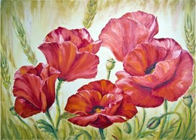 Kép - Pipacsvirágok (üvegen) (70x50 cm)