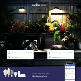 NORDLUX 2019001003 ARCUS SMART Modern Kültéri Fali Lámpa Fekete LED IP54