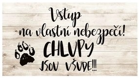 Bohemia Gifts Dekoratív kép - Szőr