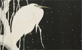 Dekoratív Fotótapéta Hálószobába Téli madár 416x254 Ragasztó