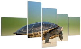 Modern kép - állatok (150x85cm)