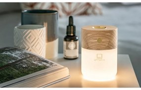 Elektromos aromadiffúzor Smart – Gingko