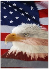 Poszterek A4 Pion Freedom from Usa