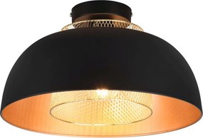 TRIO R60811032 PUNCH Vintage Mennyezeti Lámpák Fekete E27 IP20