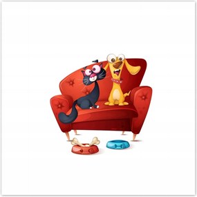 Poszterek 30x30 Cica Cicák Macskák