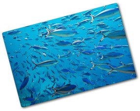 Üveg vágódeszka Coral halak pl-ko-80x52-f-39421860