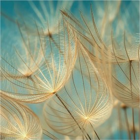 Fotótapéta Fali tapéta Hálószoba Nappali szoba Pitypangok éteri 250x250