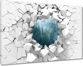 Vászonkép 120x80 Erdő a ködben Utazás