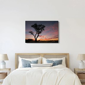 Kép - Fa és vöröses árnyalatok (90x60 cm)