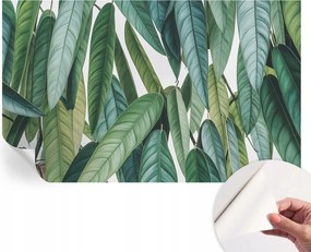Design fali fotótapéta öntapadós natúr levelek 416x254 cm