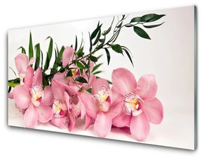 Üvegfotó Orchidea virágok Spa 100x50 cm 2 fogas