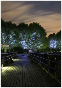 Poszterek 70x100 Séta az éjszakában