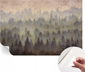 Modern fali fotótapéta konyhába nappaliba Hálószobába Erdei köd 104x70