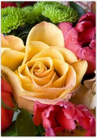 Poszterek 70x100 Tulipáncsokor rózsával