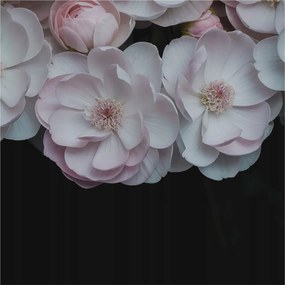 Divatos 3D Fali Tapéta Finom csokor 250x250 Ragasztóval