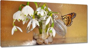 Vászonkép 115x55 Pillangó és hóvirág