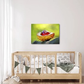 Gesztenye képe (70x50 cm)