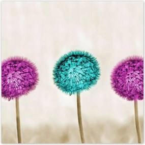 Poszterek 100x100 Pitypangok papírsárkányok