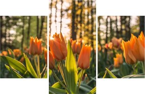 Narancssárga tulipán képe (90x60 cm)