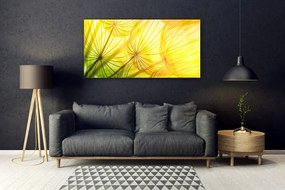 Üvegkép Pitypang Virágok Természet 125x50 cm