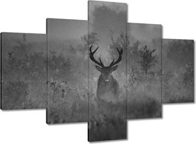 Vászonkép 100x70 Szarvas a ködben