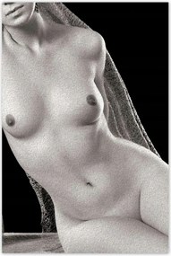 Poszterek 80x120 Aktok Meztelenség Szerelem Fotó