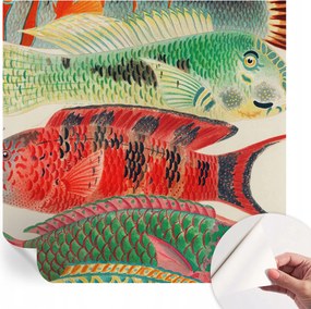Modern öntapadós fali fotótapéta Egzotikus halak 250x250 cm