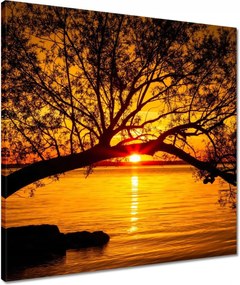 Vászonkép 50x50 Tengerpart Fa Tenger