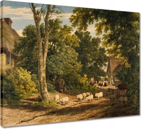 Vászonkép 50x40 Bárányok bárányok