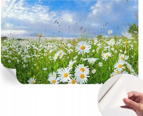 Öntapadós Dekoratív Fotótapéta Hálószobába Nyári rét 416x254 cm