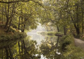 Poszter 66,5x46,5cm Basingstoke csatorna 2, Assaf Frank