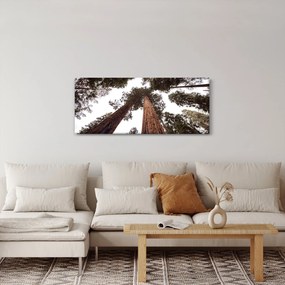 Kép - Kilátás a fák között (120x50 cm)