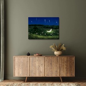 Kép - zuhanó égbolt (70x50 cm)
