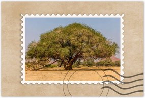 Poszterek 120x80 Fa Fák Kilátás