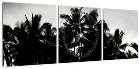 A fekete-fehér pálmafák képe (órával) (90x30 cm)