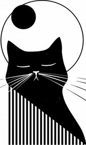 Poszter 50x100cm Éjszakai vibráló doromboló