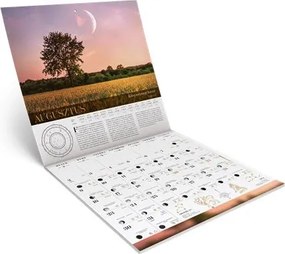 Falinaptár, 29x29 cm, LIZZYCALENDAR Hold, asztrológiai (TICLCFNHO)