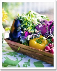 Poszterek keretben 40x50 Zöldségek a konyhába