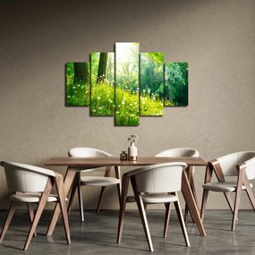 Kép - Varázslatos rét tele pitypanggal (150x105 cm)