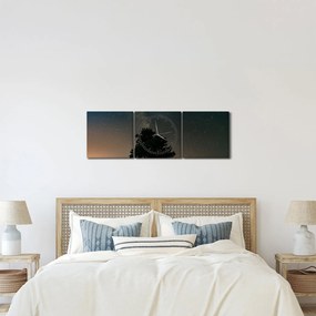 Egy éjszakai égbolt fákkal képe (órával) (90x30 cm)